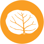 Broad Outcome 1 icon